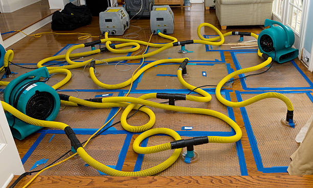 Professional Basement Flood Cleanup technician working in Dunkirk, OH
